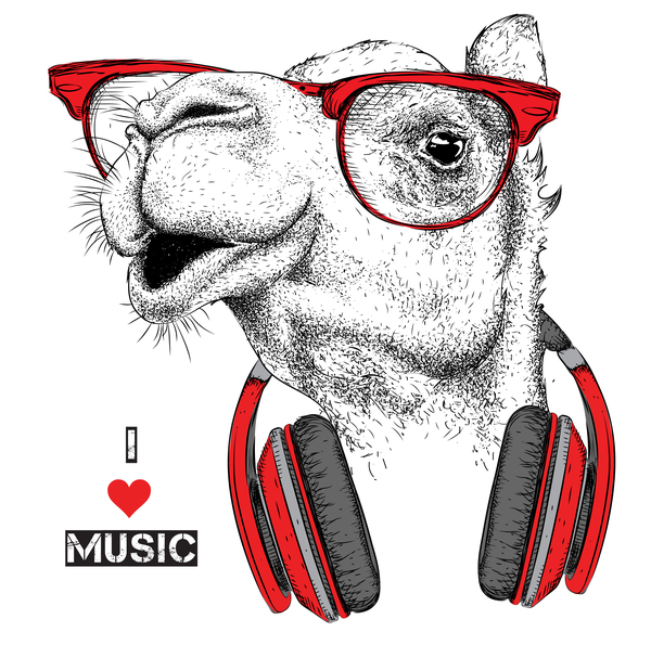 musique chameau 