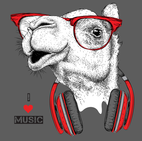 music camel 