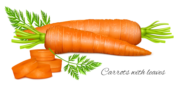 les feuilles les carottes 