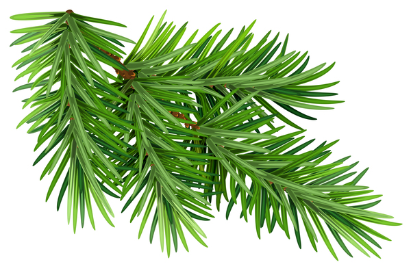 jul Gren fir-tree 