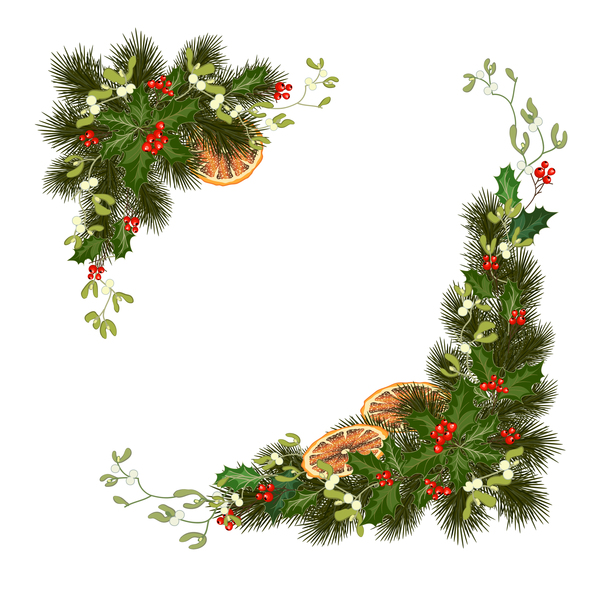 ヒイラギの飾りベクトル図 07 とクリスマス パインの枝します Welovesolo