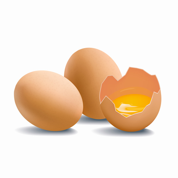 Rissig Muscheln Eiern 