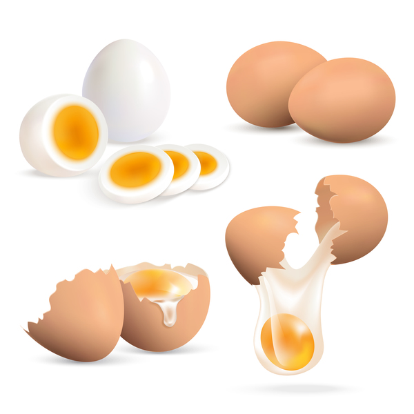 ひびの入った卵ベクトル 03 シェル Welovesolo