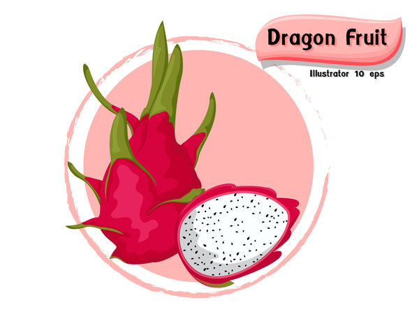 fruit dragon 