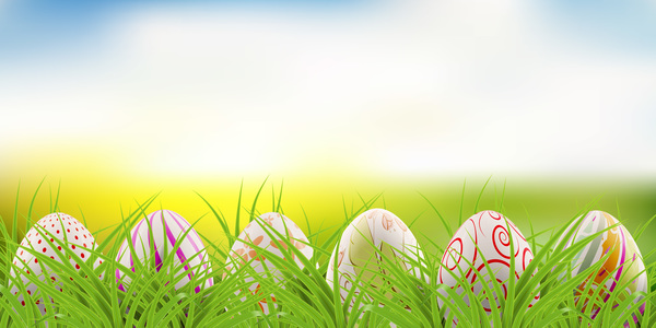 postcard green grass eggs easter decorated 