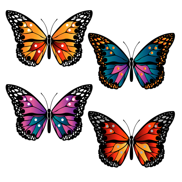 Papillons floral décoratifs 