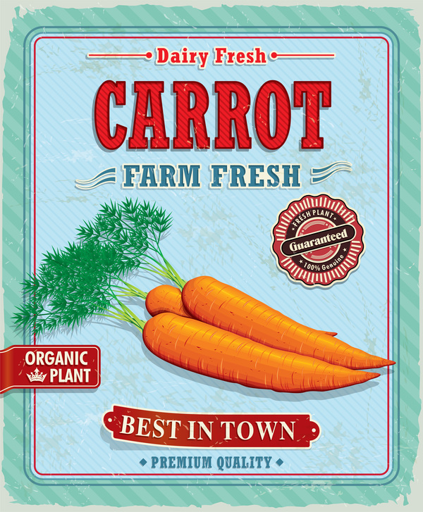 poster Karotten Frisch 