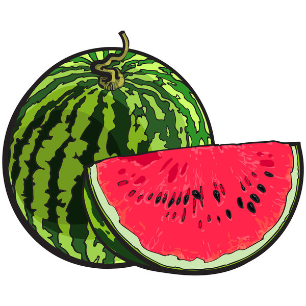 vattenmelon Ripe Färskt saftigt 