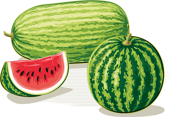 Wassermelone Reife Frische saftige 