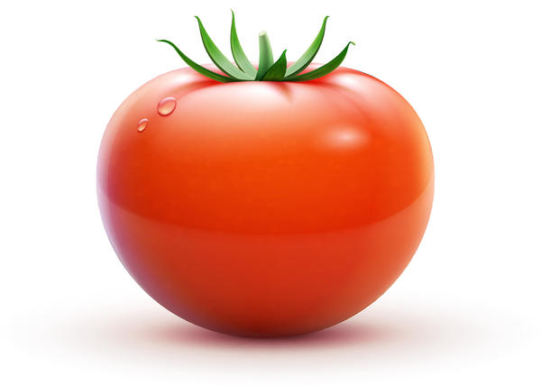 、、新鮮なトマト 