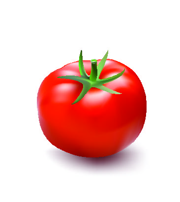 、、新鮮なトマト 