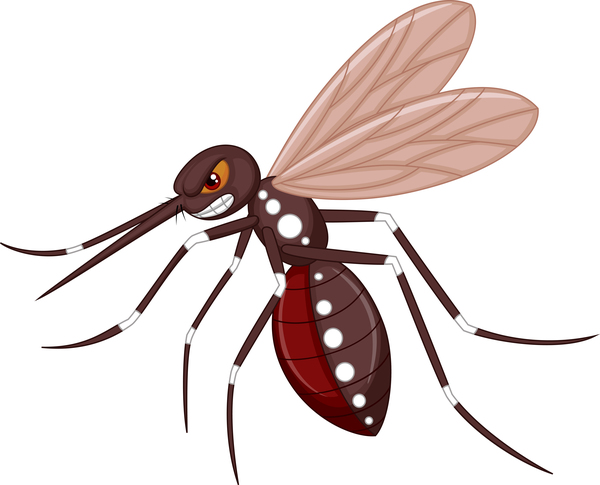 mosquito divertente fumetto 