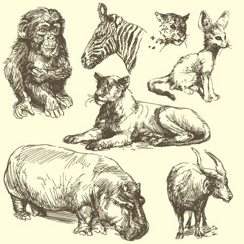 hand drawing animal  