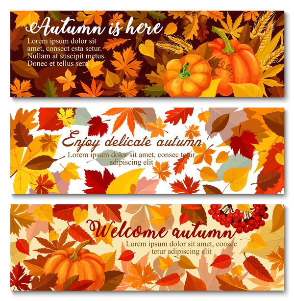 Herbst Ernte banner 
