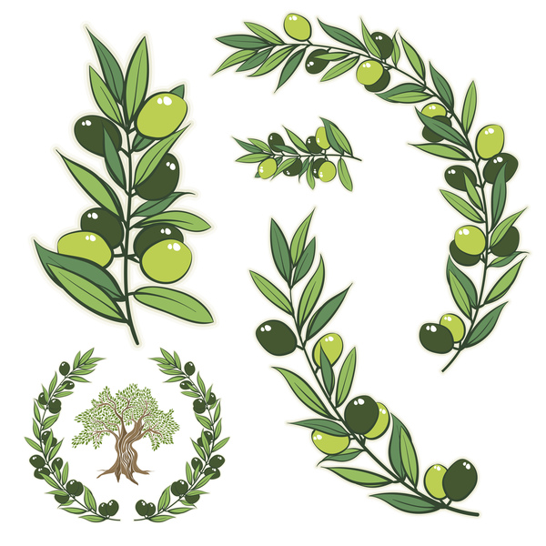 Ramo oliva 