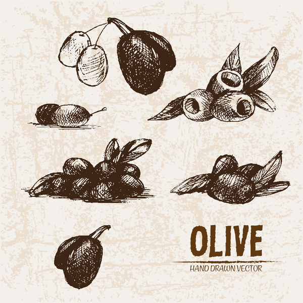 olive hand gezogen 