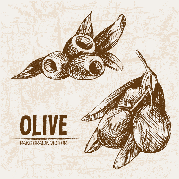 olive mano disegnato 