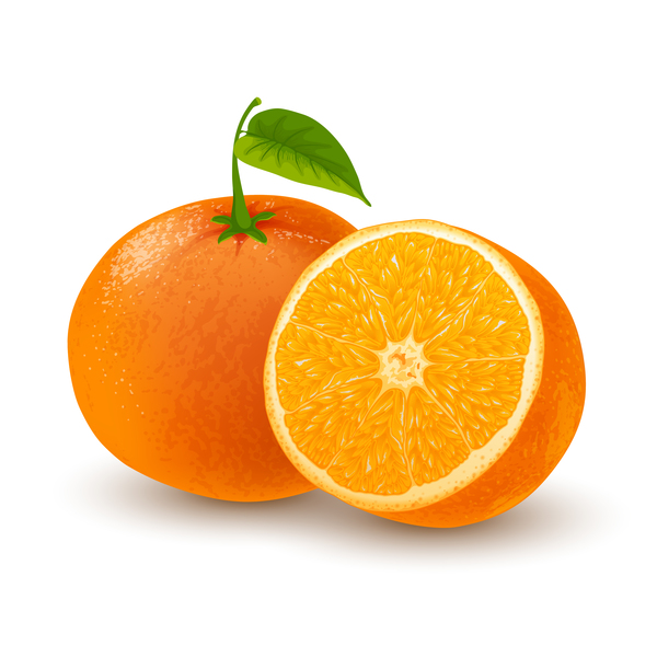 、、新鮮なオレンジ 