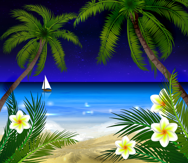 spiaggia palmo Fiore bianco albero 