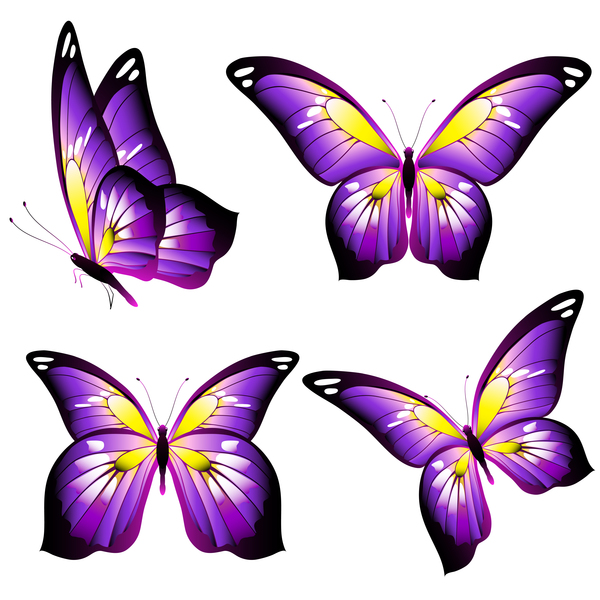 violet Papillons Belle 