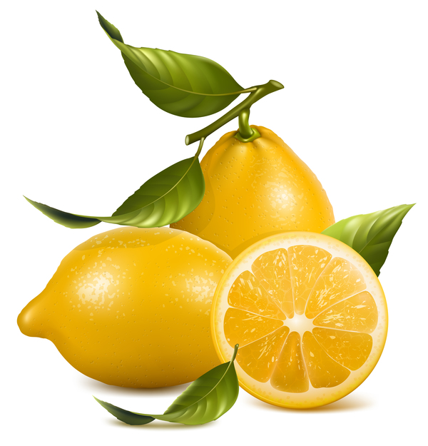 realistiska citron 