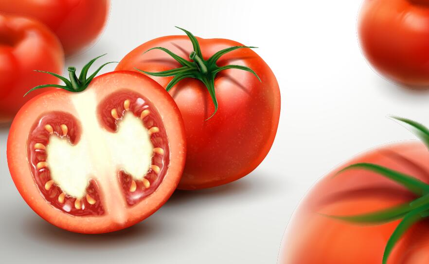 Tomate réaliste brouille 