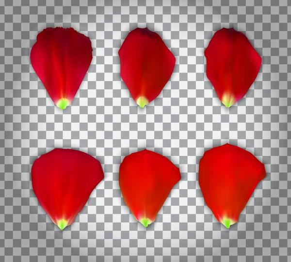 赤い花の花びらイラスト 01 Welovesolo