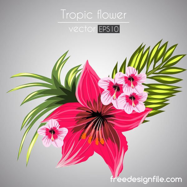 tropical red pink flowers 