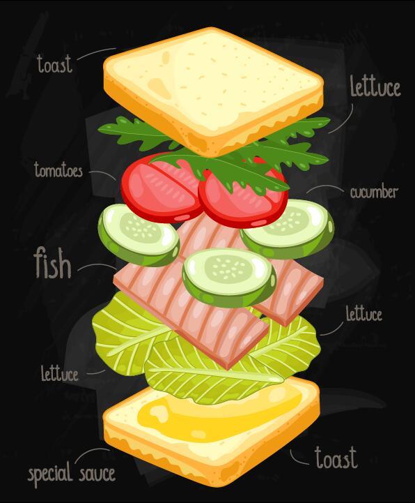 、インフォ グラフィック、成分、サンドイッチ 