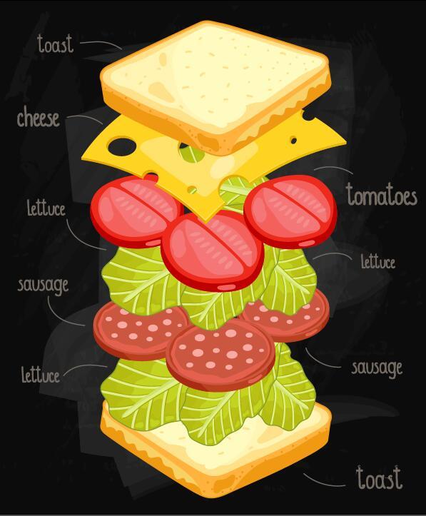 、インフォ グラフィック、成分、サンドイッチ 