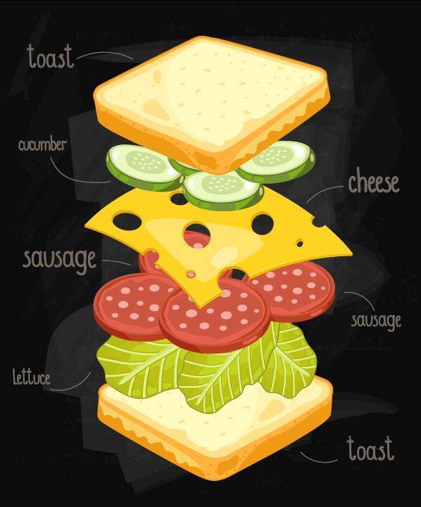 sandwich ingredients infographie 
