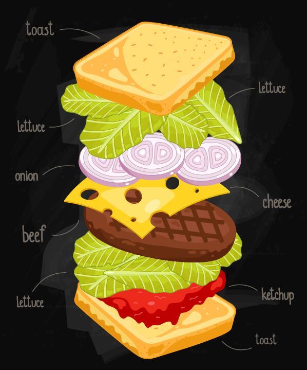sandwich ingredienti infografica 