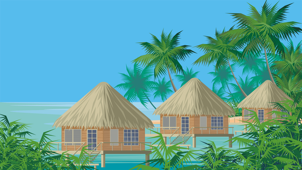 trees sea palm bungalows  