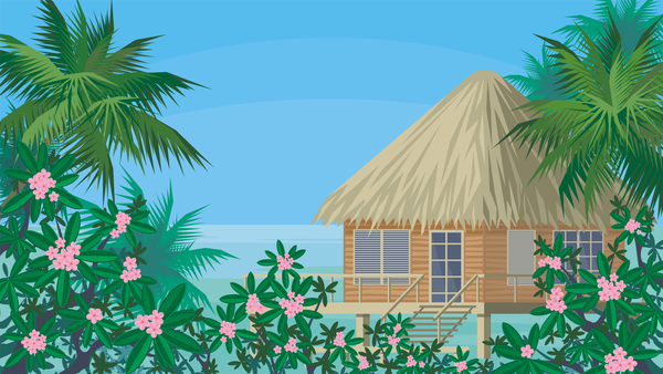 träd palm havet bungalows 