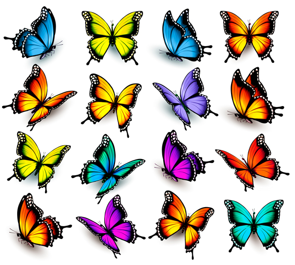Fjärilar färgglada 