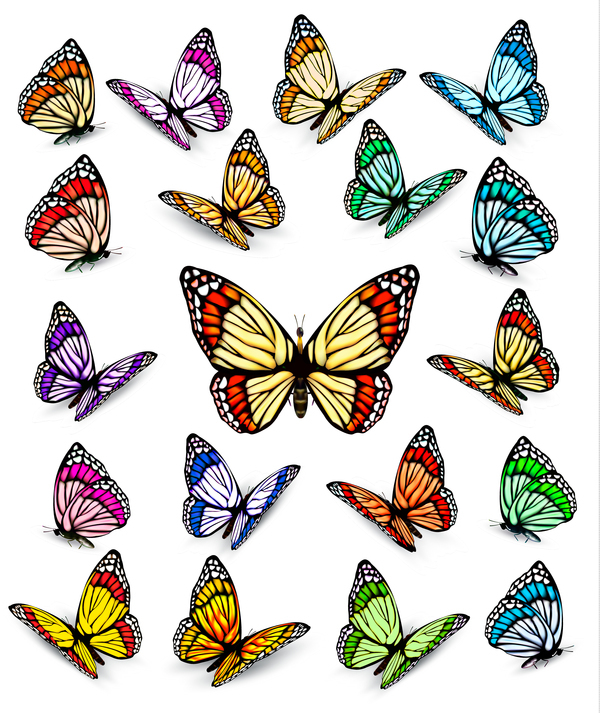 、カラフルな蝶 