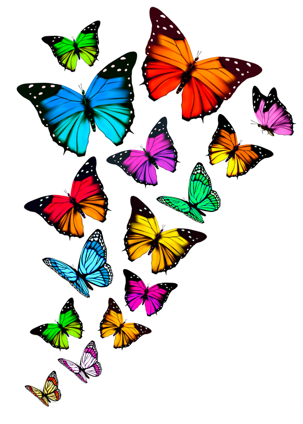 、カラフルな蝶 
