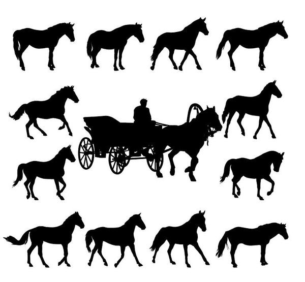 silhouette Pferd 