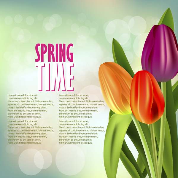 tulipani primavera colore 