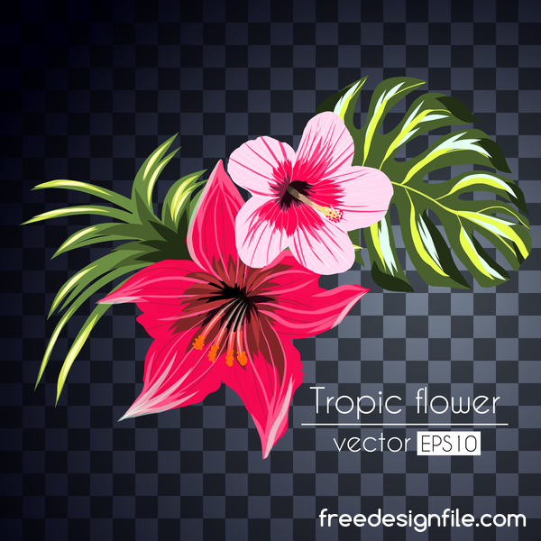 tropicali fiori  