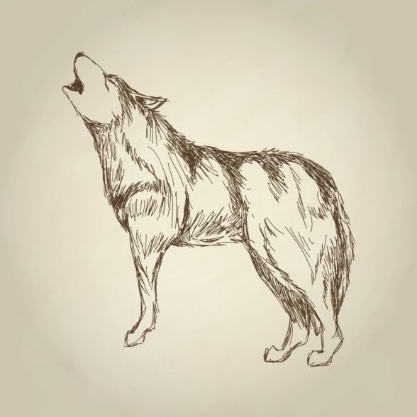wolf main 