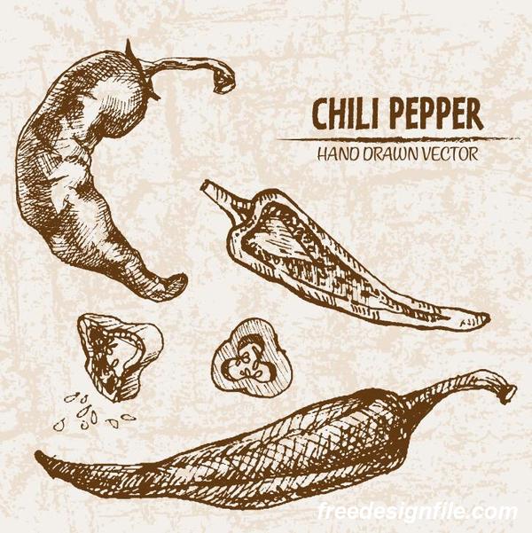 retor pepper hand drawing chili  