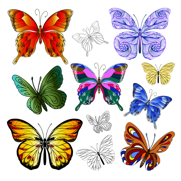 Papillons multicolores 