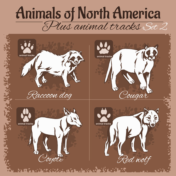 Nord empreintes animal Amérique 