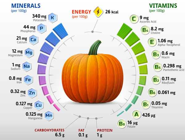 Vitamine Kürbis Infografiken 