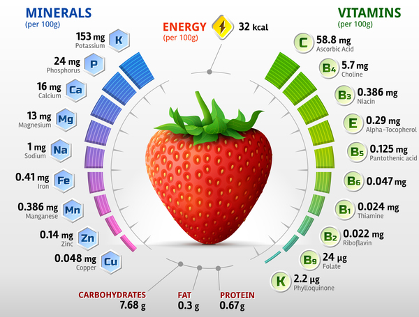 vitamins strawberry infographics 