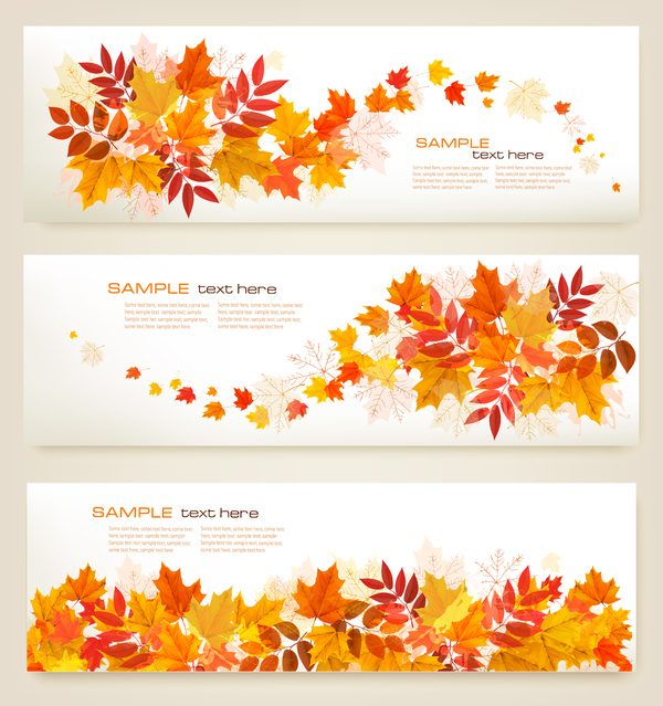 、秋、バナー、カラフルな、3 つの葉、 
